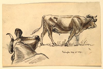Croquis de bétail, Irvington - Samuel Colman