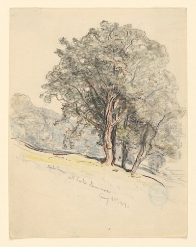 Étude de chênes au lac Dunmore, Vermont - Samuel Colman