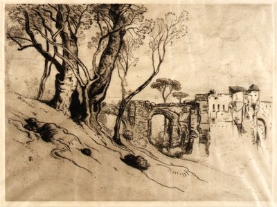 Les oliviers de la Côte d