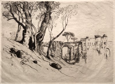Les oliviers de la Côte d