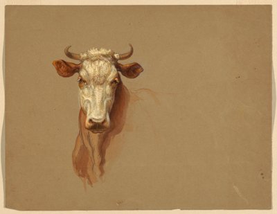 Deux études de bétail - Samuel Colman