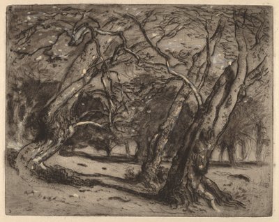 Sans titre (Paysage boisé) - Samuel Colman