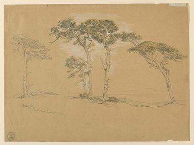 Pins balayés par le vent, Pacific Grove. Verso : Route côtière du Pacifique vers Point Sur. - Samuel Colman