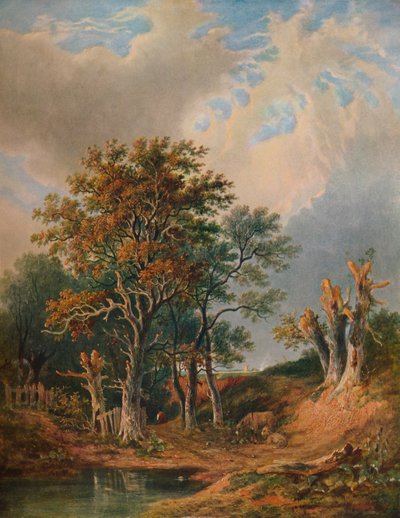Paysage, 1847 - Samuel David Colkett