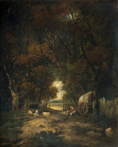 Promenade des noyers, Earlham, 1836-63 - Samuel David Colkett