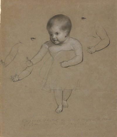 Charlotte Gebhardt Morse - Samuel Finley Breese Morse