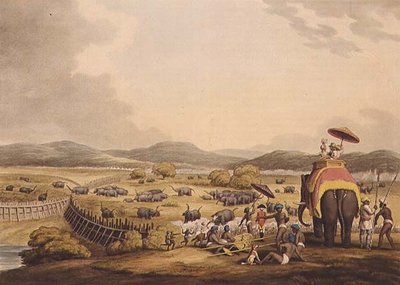 Conduite des éléphants dans un Keddah, de "Sports de terrain orientaux", publié par Edward Orme - Samuel Howett