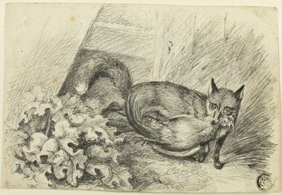 Renard volant un coq - Samuel Howett