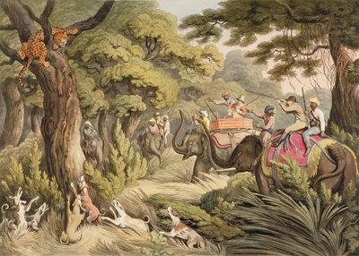 Chasse au léopard, de 