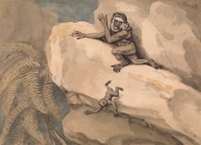 Un singe et son petit - Samuel Howitt