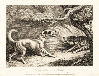 Un chien de maison avec un collier offre de la nourriture à un loup affamé. 1811 - Samuel Howitt