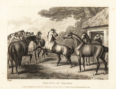 Un jeune poulain tente de provoquer une mutinerie dans les écuries. 1811 (eau-forte) - Samuel Howitt