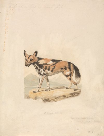 Chien abyssin - Samuel Howitt