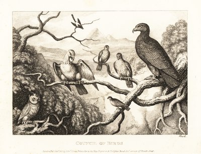 Un aigle préside un tribunal d
