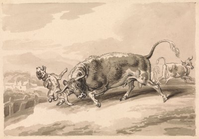 Taureau attaquant un mâtin - Samuel Howitt