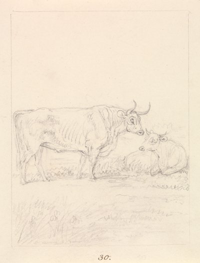 Taureau et vache - Samuel Howitt