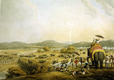 Conduite des éléphants dans un Keddah - Samuel Howitt