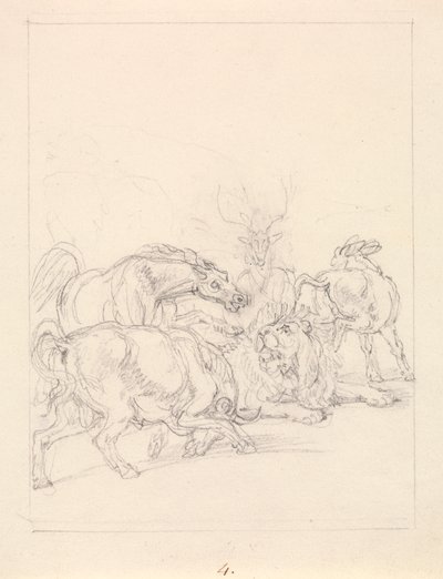 Vieux lion insulté - Samuel Howitt