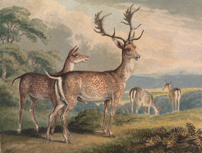 Cerf, biche et faons - Samuel Howitt
