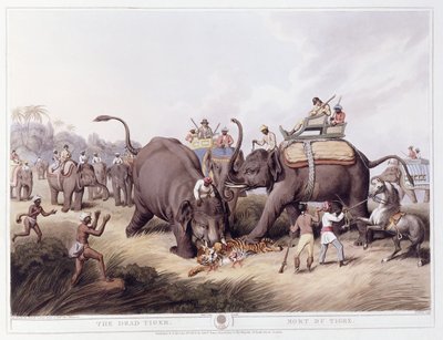 Le Tigre mort; Mort du tigre, 1807 - Samuel Howitt
