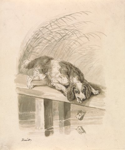 Le Chien et l