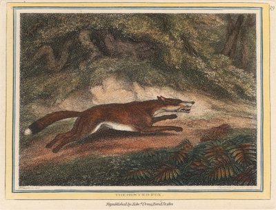 Le renard chassé - Samuel Howitt