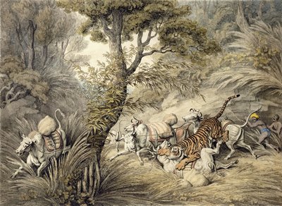 Tigre attaquant un train de bétail - Samuel Howitt