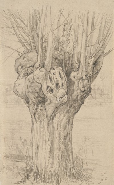 Arbre noueux, 1884 - Samuel Isham
