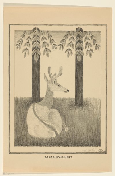 Cerf Barasingha - Samuel Jessurun de Mesquita (signed by artist)