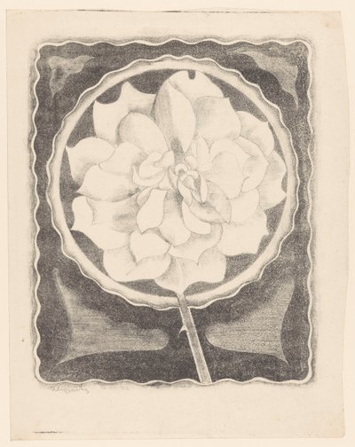 Rose (en cercle, avec bord ondulé) - Samuel Jessurun de Mesquita (signed by artist)