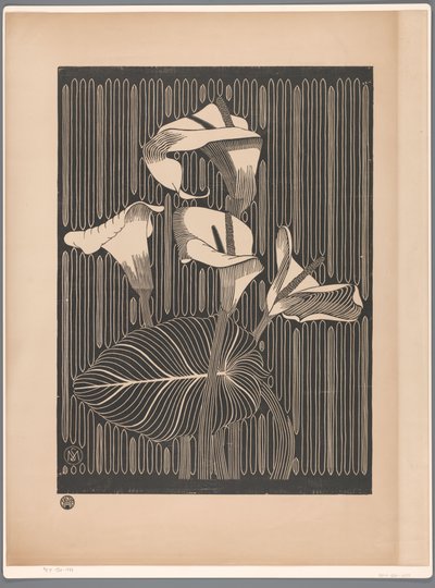 Arums - Samuel Jessurun de Mesquita
