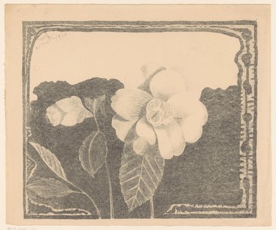 Camélia, à gauche une fleur en bouton - Samuel Jessurun de Mesquita