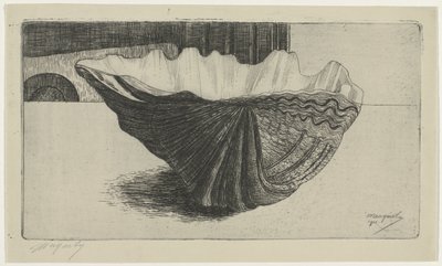 Une coquille, posée sur le dos - Samuel Jessurun de Mesquita
