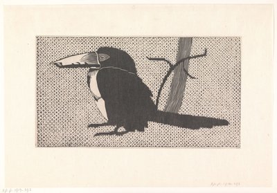 Toucan - Samuel Jessurun de Mesquita