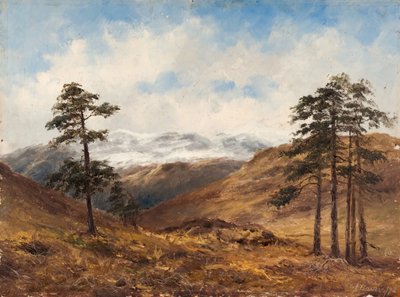 Près de Balmoral - Samuel John Barnes
