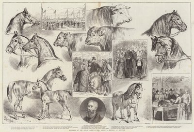 Croquis à la réunion de la Royal Agricultural Society à Norwich - Samuel John Carter
