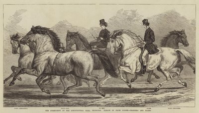 Le Salon du Cheval à l