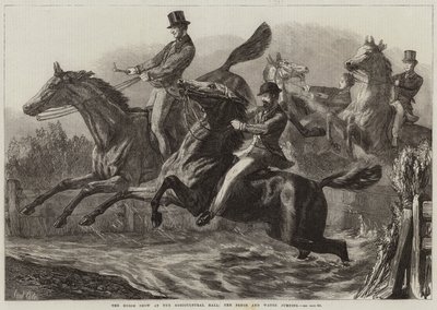 Le spectacle équestre à l