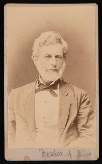 Portrait de M. Foster du Massachusetts, entre 1876 et 1880 - Samuel Montague Fassett