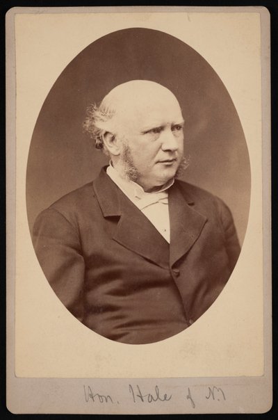 Portrait de Robert Safford Hale 1822-1881, avant 1881 - Samuel Montague Fassett