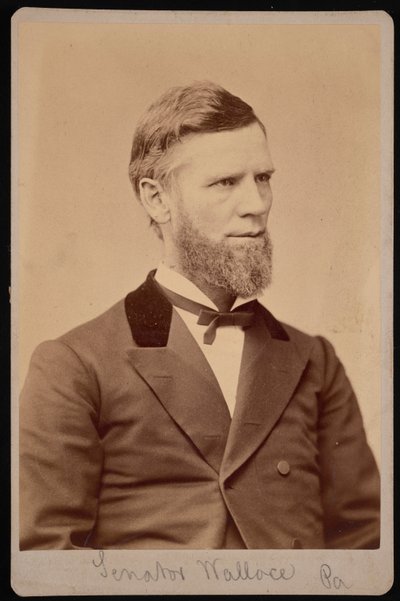 Portrait de William Andrew Wallace - Samuel Montague Fassett