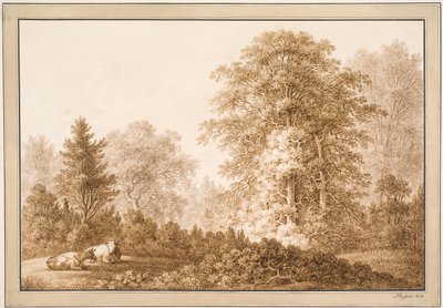 Paysage forestier avec deux vaches couchées - Samuel Mygind