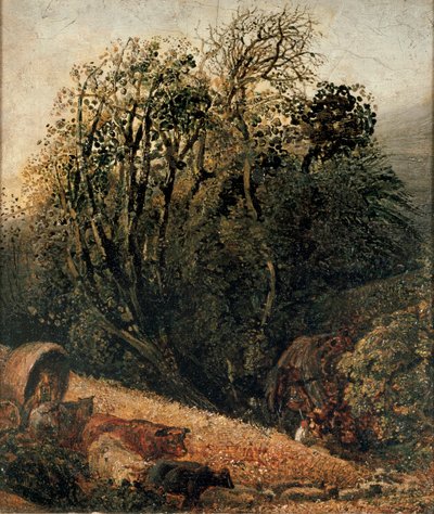 Un champ de maïs bordé d