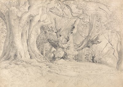 Arbres anciens, parc de Lullingstone - Samuel Palmer