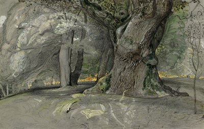 Chêne et hêtre, parc de Lullingstone - Samuel Palmer