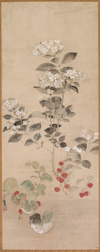 Fleurs d