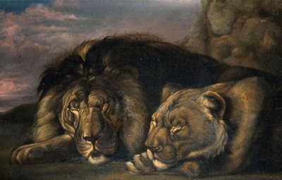 Lion et lionne endormis, 1823-1830 - Samuel Raven
