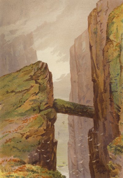 Nord de l