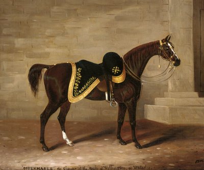 Copenhague, le cheval du duc de Wellington à Waterloo - Samuel Spode