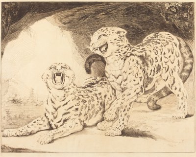 Léopards - Samuel William Reynolds I after James Northcote